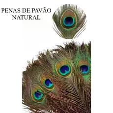 Penas de Pavão Natural Artesanato Decoração Luxo Carnaval Cocar Diy