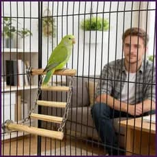 Escada De Pássaros Que Economiza Espaço , Multifuncional , Suporte Para Animais De Estimação , Brinquedos Araras , Periq