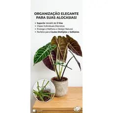 Grampos Ganchos para Plantas pequenas