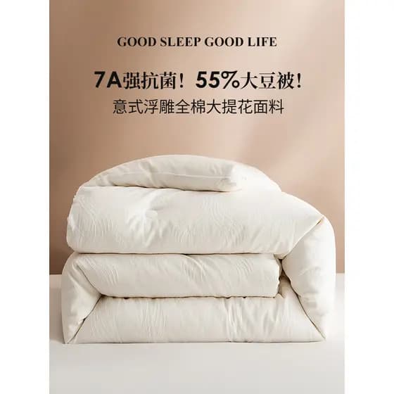 Colcha italiana Jacquard 55% de fibra de soja primavera outono colcha de inverno colcha de algodão espessada núcleo cria