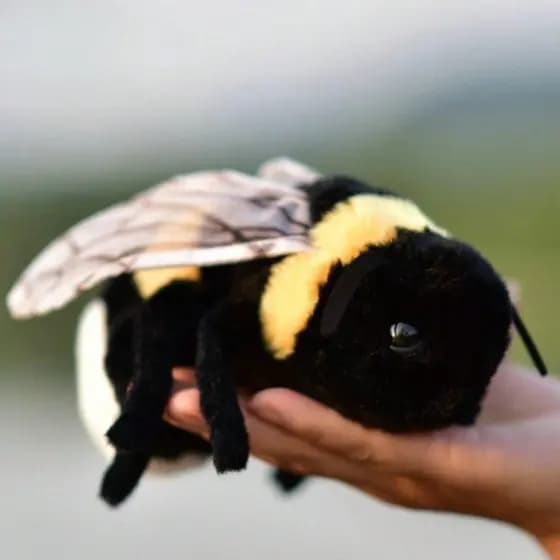 Abelha Brinquedo De Pelúcia Simulação Boneca Inseto Animal Travesseiro Decoração Para Casa Presente De Aniversá