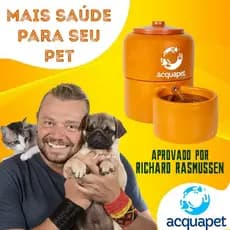 Purificador de cerâmica para Pet Filtro de Barro Bebedouro Gato e Cão