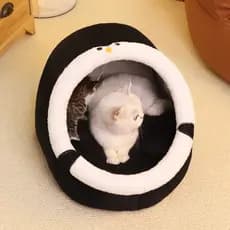 Pet dedicado