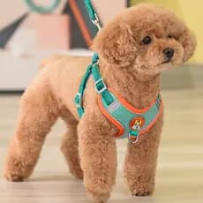 Arnês Para Cães Trelas Malha Cinta Peitoral Suprimentos Ajustáveis
