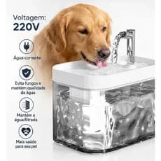 Filtro Automático para cachorro e gato - Melhor qualidade e saúde - 220v