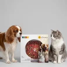 Comedouro Vasilha Pote para Ração Cachorro Gato Cor Transparente Sistema Anti-Formiga Base Emborrachada Alimentador PET