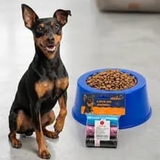 Kit com 2 Peças - Comedouro Pequeno + Saquinho Refil Cata-caca Pet 3 unidades Cachorro gato Bebedouro Refil Higiênico