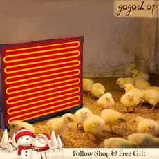 Gogoshopp-br Aquecedor de galinheiro 145 Watts Calor radiante Eficiente em energia mais seguro do que lâmpada