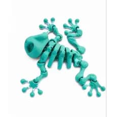Sapo Articulado Verde 3D | Brinquedo Sensorial e Antiestresse