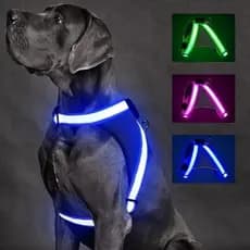 Colete Recarregável Para Caminhada , Led Il USB Glow-in-The-Dark Night ChalkLit Malha De Segurança Ajustável Arnês De Lu
