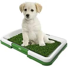 Conjunto De Almofada De Xixi De Grama Artificial Para Cães (De Plástico Sintético)-Filhote De Cachorro Reutilizável Esse