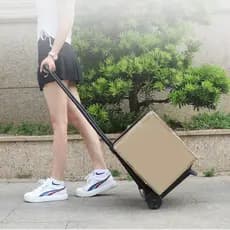 【Leve e Funcional】Folding Mini Trolley/Carro Dobrável/Para Uso Diário e Compras