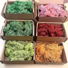 Buxos de musgo artificial, grama para diorama de trem, vegetação, cena de musgo eterno, materiais para modelismo MWS1