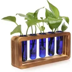 Estação de propagação de plantas em vidro, equipada com 5 tubos de ensaio, vasos e potes de flores coloridos, de