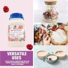 500g de Areia de Sílica Gel Não Tóxica, Cristais Dessecantes para Secagem de Flores, Absorvedores de Umidade DlyCraft