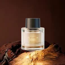 Aromatizador Automotivo Ceeniu - Refil de Perfume Líquido Especializado CF12/F26/F39 - 45ml - Dura de 2 a 6 meses - Fabr