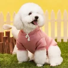 Novo filhote de cachorro roupas Universal Pomeranian Bichon cão Teddy Casual duas pernas com capuz velo moletom fabrican
