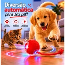 Brinquedo Pet Recarregável Para Gato e Cachorro Bola Colorida Bolinha Interativa Cores Sortidas