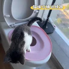 Dispositivo de treinamento de vaso sanitário para gatos, vaso sanitário para gatinhos, limpeza livre de vaso sanitário,