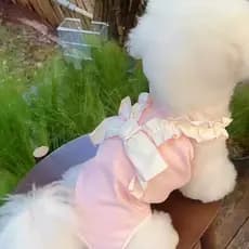 Roupas para cães outono inverno quente proteção de umbigo pijamas pequeno filhote de cachorro roupas de barriga gato Ted
