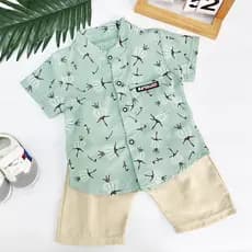 Conjunto de Roupa para Menino de 0 a 5 Anos - Camiseta de Algodão com Estampa de Dente-de-Leão e Shorts para Usar