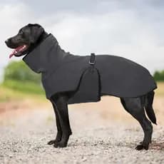 Casaco Quente Para Cães Grandes , Roupas De Inverno De Estimação Cachorros , Colete Animais Jaqueta Pequenos , Médios E