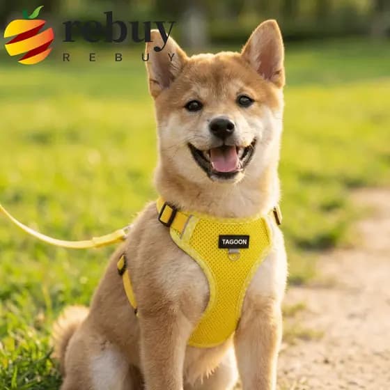 REBUY1 Conjunto De Coleira Para Cães , Cinta Peitoral Reflexiva Com Fivela Separatista , Corda De Caminhada Animais De E