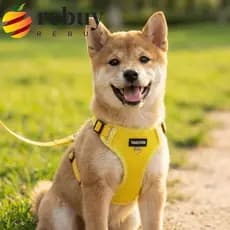 REBUY1 Conjunto De Coleira Para Cães , Cinta Peitoral Reflexiva Com Fivela Separatista , Corda De Caminhada Animais De E
