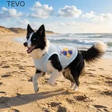 Colete De Malha Para Cães TEVO , Roupas De Verão Respiráveis E Finas De Tecido Macio , Animais De Estimação Com Resfriam