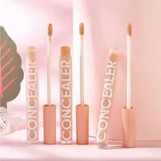 Novo estilo corretivo de alto brilho corretivo hidratante reparação facial cobertura Natural manchas faciais poros claro