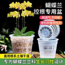 Phalaenopsis pote phalaenopsis vaso de flores especial conjunto respirável pote controle raiz pote nutrição tigela copo
