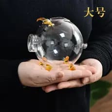 Vidro de borosilicato alto, você economiza feijão dourado, cofrinho de leitão, ouro rosa, ervilhas douradas, pequenas er