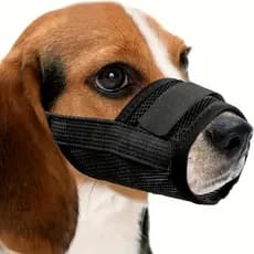 Focinho para cachorro, focinho anti-mordida, anti-latido, anti-comer, água potável, estoque pronto, suprimentos para ani