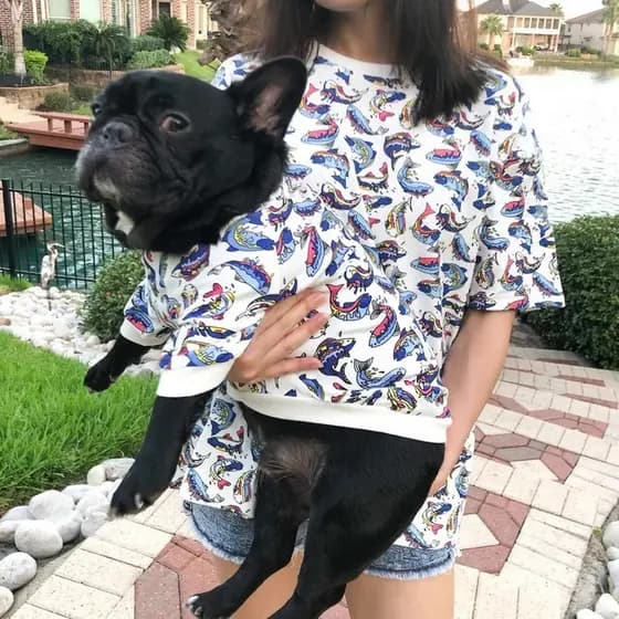 Pessoas Pet Pai-Filho Desgaste Verão Street Wear Filhote de Cachorro Mesmo Estilo do Proprietário Camiseta Teddy Corgi P