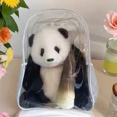50cm saco de bebê cabeça Animal saco de armazenamento grande capacidade saco de dor transparente mochila Panda Hatsune F