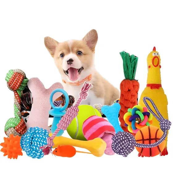 [Durável e Seguro] Paquete de 10 juguetes masticables para cachorros/Brinquedos/Para Cães/Filhotes