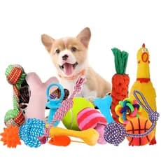 [Durável e Seguro] Paquete de 10 juguetes masticables para cachorros/Brinquedos/Para Cães/Filhotes