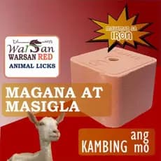 3A1 0Dd Autêntico WARSAN RED 4,5 Kg Bloco de Sal Mineral para Gado, Ovelhas, Cavalos