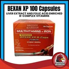 108 C3e Bexan XP B-Caps Vitaminas e Minerais 100 Cápsulas 3 Bem-vindo à Loja! Bem-vindo ao The Sto