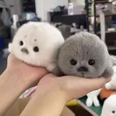 Bonito Mini Selo Brinquedo De Pelúcia Macio Kawaii Bebê Animal Fofo Bolso Tamanho Plushie Para Crianças & Presente