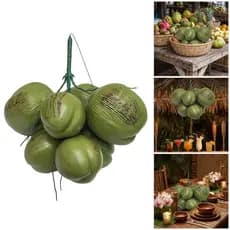 Beijo Natural Olhando Cocos Falsos Modelo De Frutas Artificiais Ótimo Para Exibições De Restaurantes E Fins Educacionais
