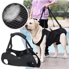 Arnês De Elevação Para Cães ADAMES , Transportador Portátil De Estilingue Com Alça Ajustável , Suporte Pernas , Colete D