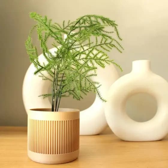 Vaso Decorativo para Plantas