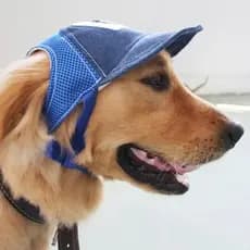Moda Simples Respirável Bonés De Beisebol Cão Viagem Cães De Estimação Esportes Chapéus De Sol Suprimentos Para Animais