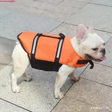 Colete Salva-Vidas Para Cães TIANCHUANG , Reflexivo Ajustável , Alça De Resgate , Roupa De Banho À Prova D'água Cachorro