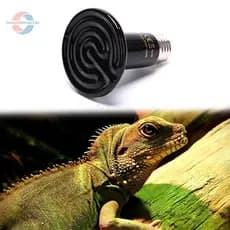 tue Pet Réptil Infravermelho Distante Cerâmica Lâmpada De Aquecimento Emissora De Calor BR