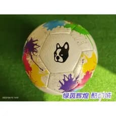 SJ23512 Sports Street Wear Futebol Genuíno Cão futebol Junky Futebol Junky Adulto No. 5 bolas de jogo de treinamento