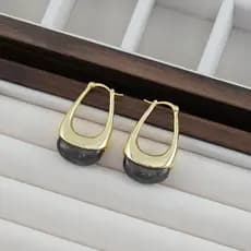 | kit brinco aço inoxidável | 【cartelas de brincos feminino】 ♞Nova moda Retro café cor resina brincos feminino francês H