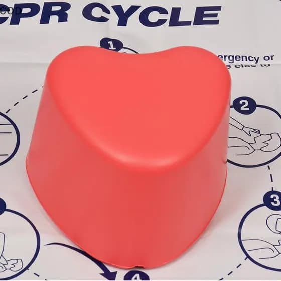 [lxfb] Mini Ferramenta De Ensino De Resgate Para Treinamento De Primeiros Socorros Em Formato De Coração Manequim Médico