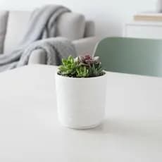 (miqin31) Vasos De Flores De Cerâmica Falsa Em Forma De Onda Simples São Adequados Para Orquídeas De Decoração De Casa E